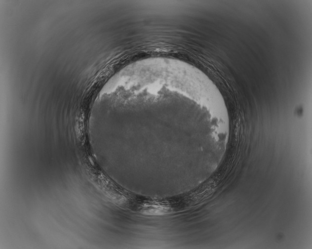 X0000116050559200912111506