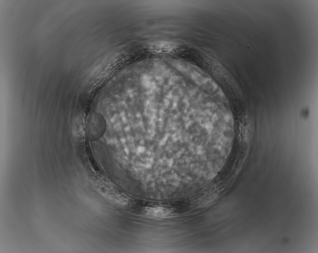 X0000116050561200912111506