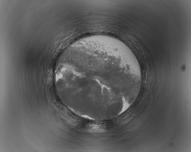 X0000116050563200912111506