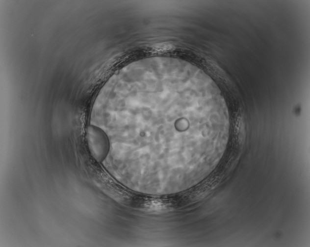 X0000116050565200912111506