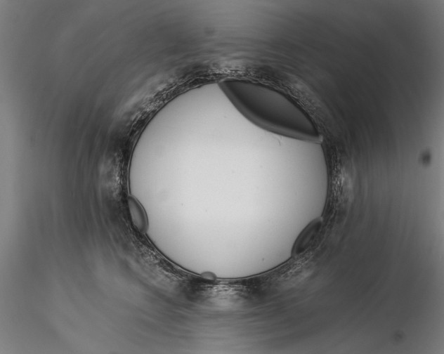 X0000116050566200912111507