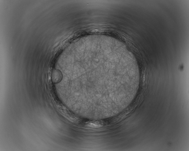 X0000116050567200912111507