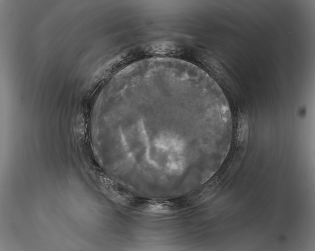 X0000116050569200912111507