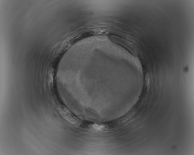 X0000116050570200912111507