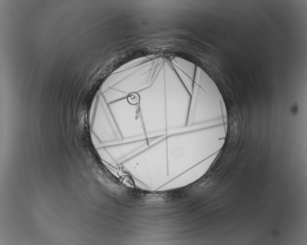 X0000116050574200912111507