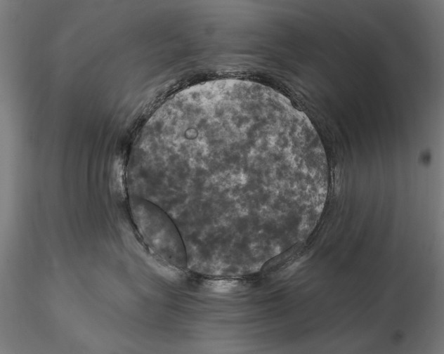 X0000116050575200912111507
