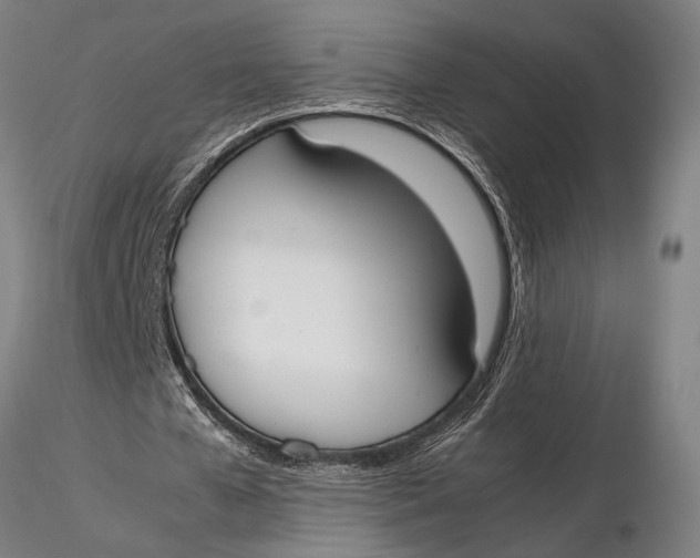 X0000116050577200912111506