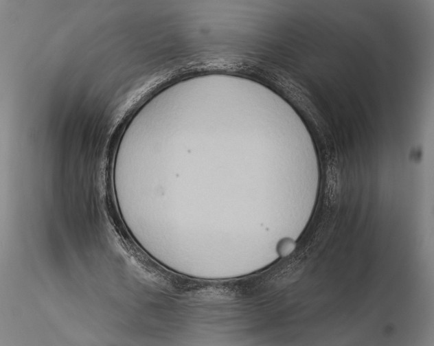 X0000116050578200912111506