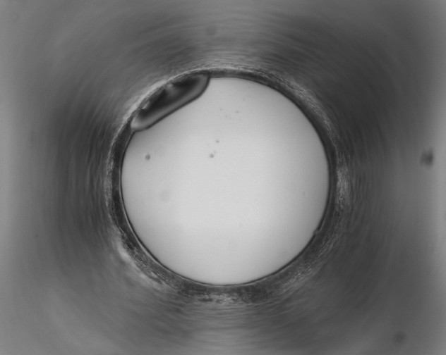 X0000116050580200912111506