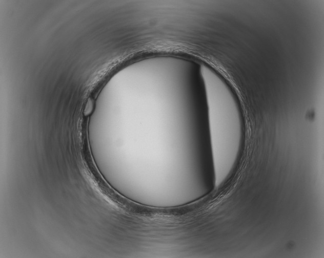 X0000116050581200912111506