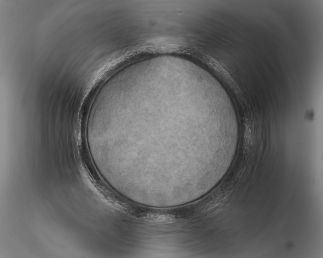 X0000116050582200912111506