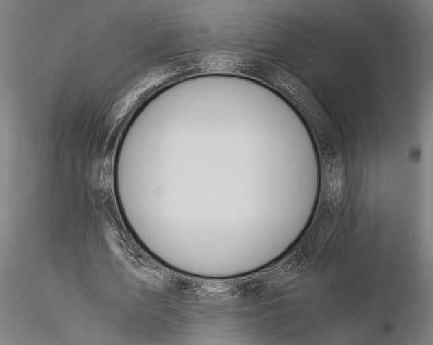 X0000116050583200912111506