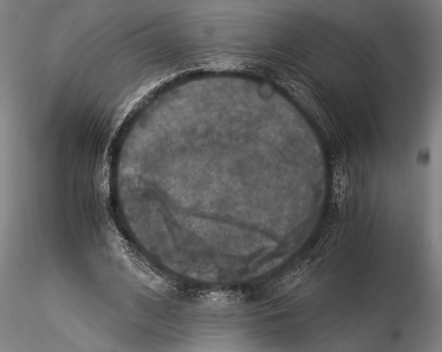 X0000116050584200912111506