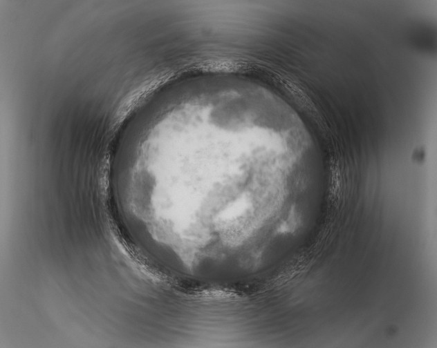 X0000116050586200912111506