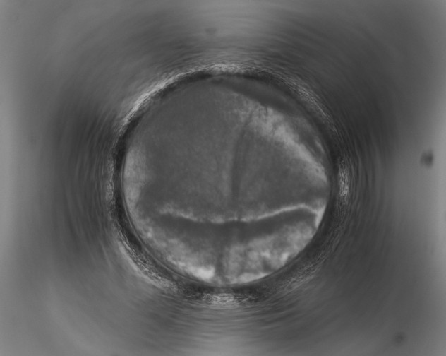 X0000116050588200912111506