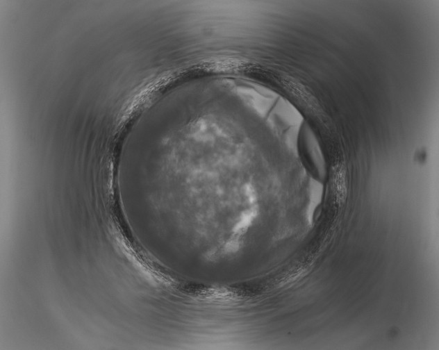 X0000116050589200912111506