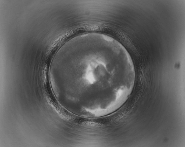 X0000116050590200912111506