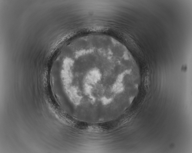 X0000116050591200912111506