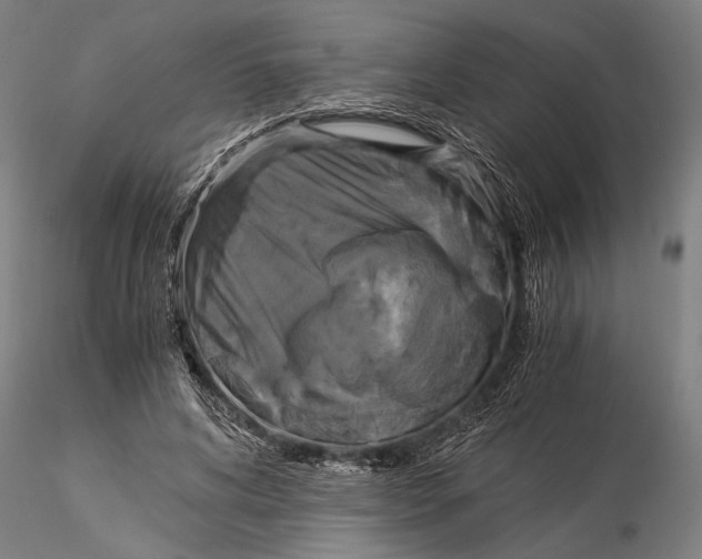 X0000116050592200912111506
