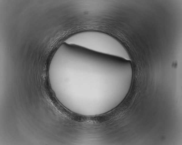 X0000116050593200912111506