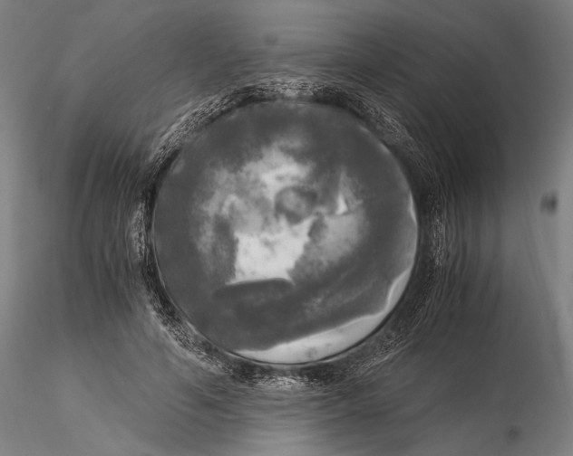 X0000116050594200912111506