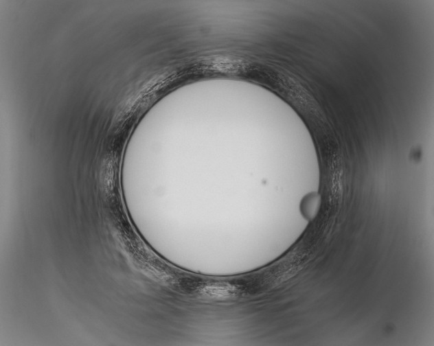 X0000116050595200912111506