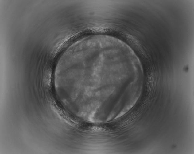 X0000116050596200912111506