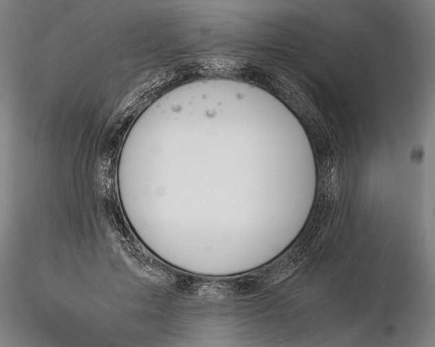 X0000116050599200912111506