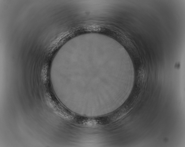 X0000116050600200912111506