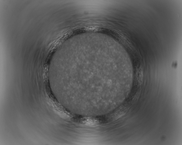 X0000116050601200912111506