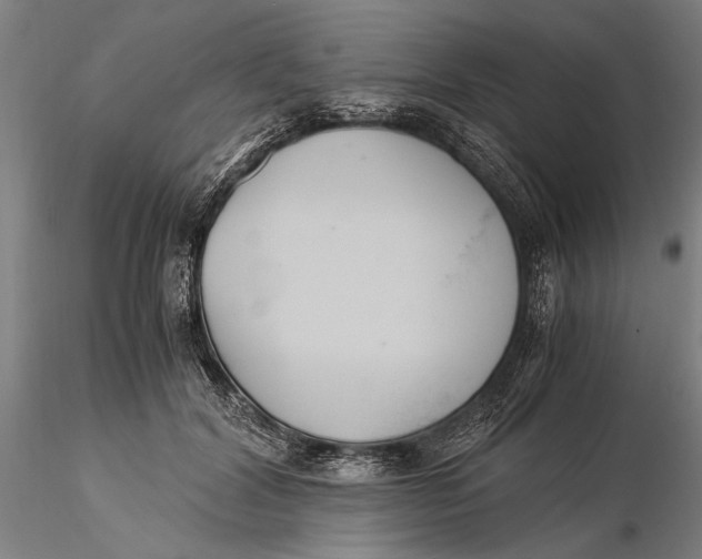X0000116050604200912111506