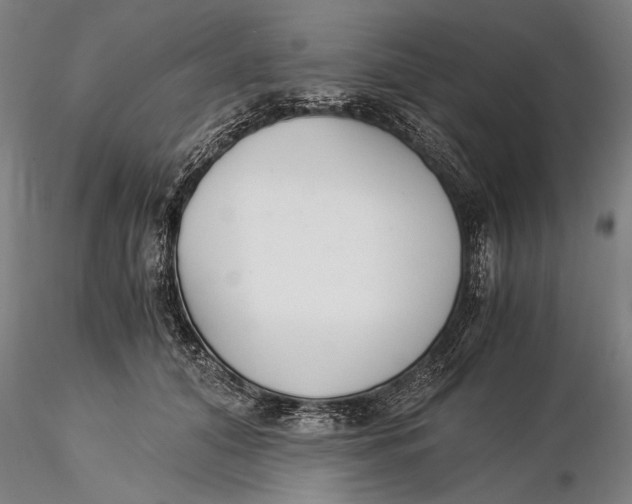 X0000116050608200912111506