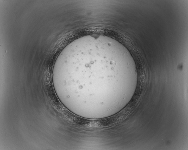 X0000116050609200912111506
