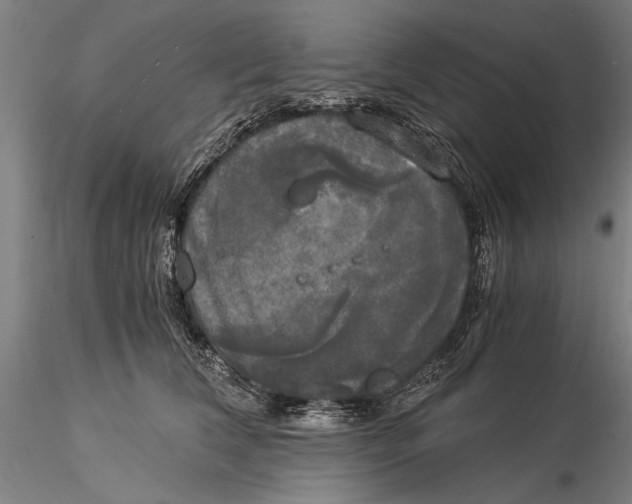 X0000116050612200912111506