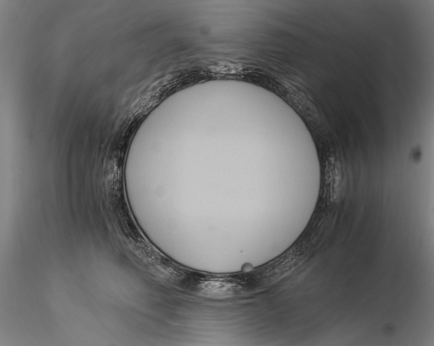 X0000116050614200912111505