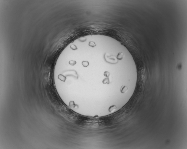 X0000116050615200912111505