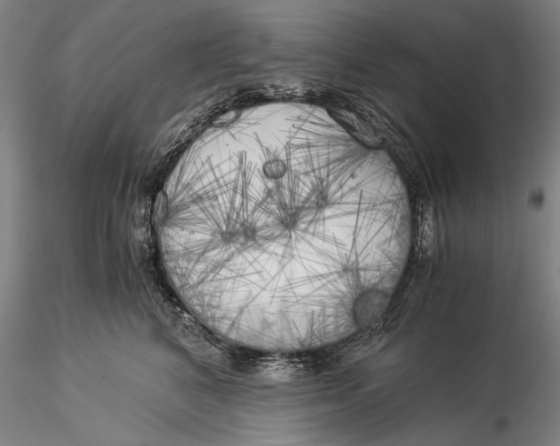 X0000116050616200912111505