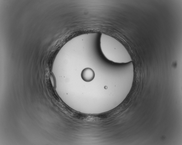 X0000116050617200912111505