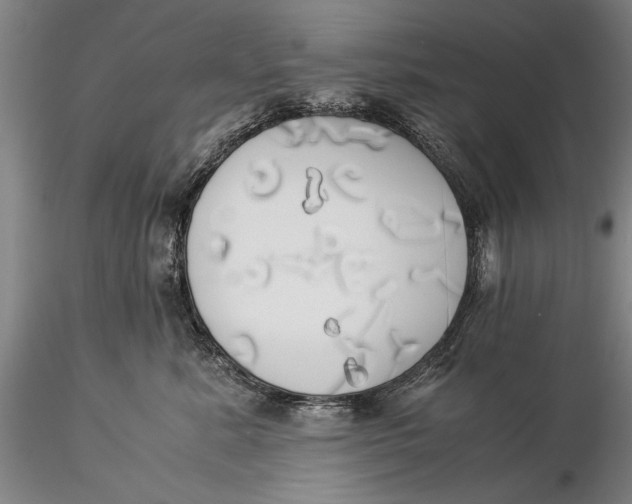 X0000116050619200912111505