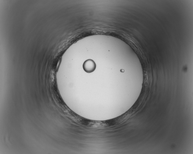 X0000116050621200912111505