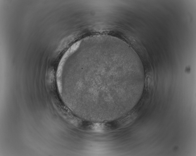 X0000116050623200912111505