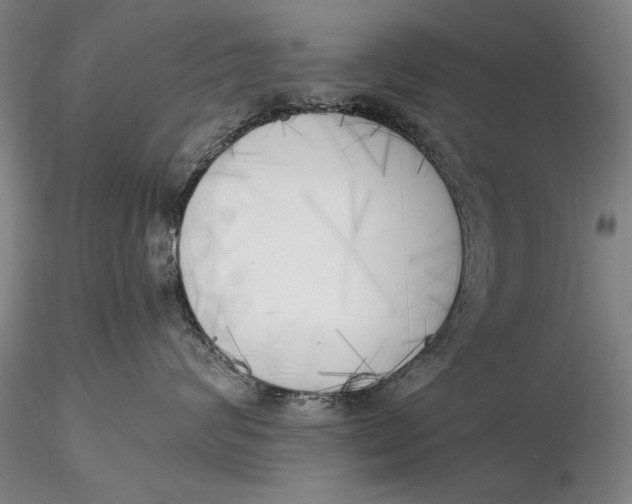 X0000116050624200912111505