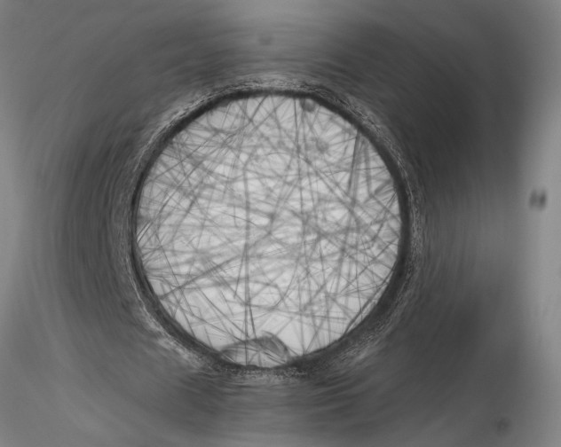 X0000116050625200912111505