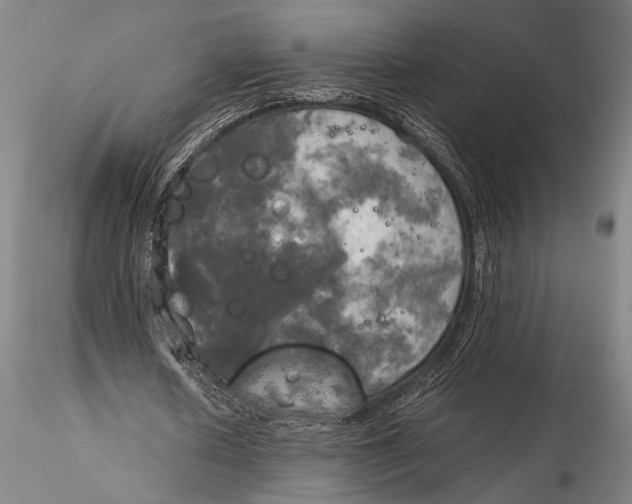X0000116050626200912111505