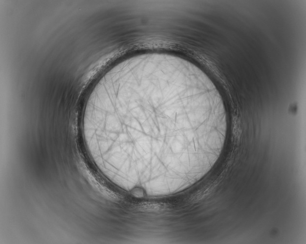X0000116050629200912111505