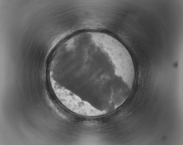 X0000116050630200912111505