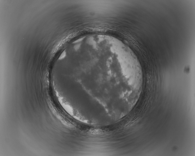 X0000116050634200912111505