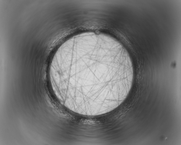 X0000116050635200912111505