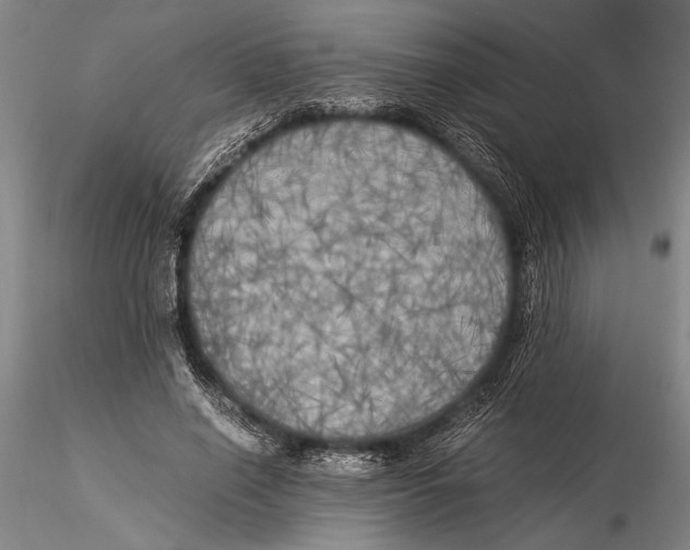 X0000116050638200912111505