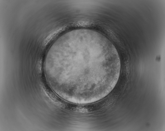 X0000116050640200912111505